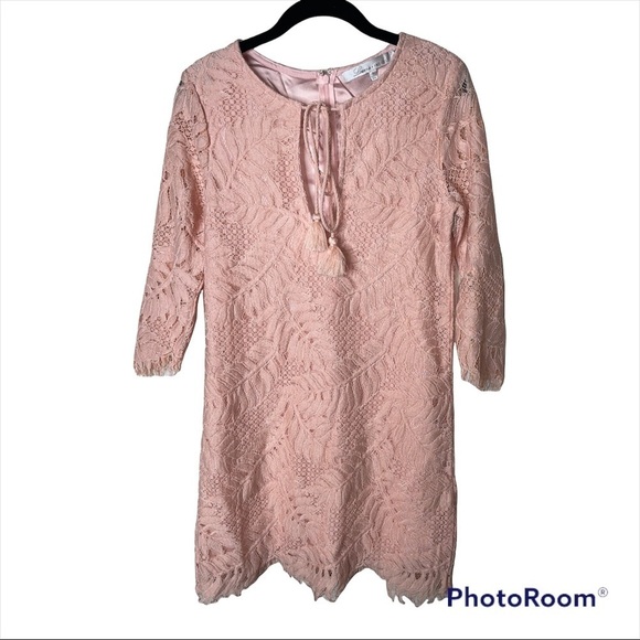 Lovers + Friends x Revolve Blush Pink Lace Long Sleeve Mini Dress Size Small - Picture 9 of 12